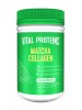 VITAL PROTEINS COLLAGEN PEPTIDES MATCHA 12 PEZZU 341 G