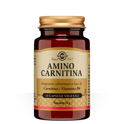 AMINO CARNITINA 500 30 CAPSULE SOLGAR