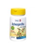 LONGLIFE ASHWAGANDHA 60 CAPSULE