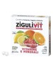 ZIGULI'VIT COMPILATION VITAMINE E MINERALI