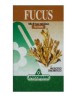 FUCUS 150 Tav.SPECCH.