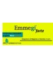 EMMEGI Fte 20 Cpr mast.