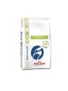 VDIET DIABETIC FELINE 1,5Kg