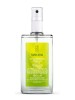 DEODORANTE SPRAY LIMONE 100 ML