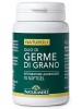 OLIO Germe Grano 70 Cps NTD