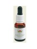 TURKEY BUSH Australian 15ml