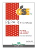 GSE Repair 45 Cpr