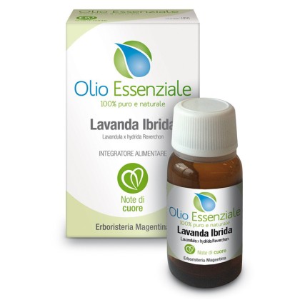 LAVANDA Olio Ess.10ml      ERM