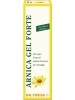 THEISS Arnica Gel Fte 15%100ml