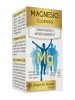 MAGNESIO Cloruro 334 Past.200g