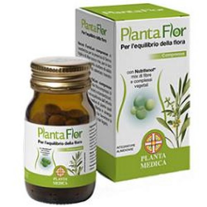 PLANTAFLOR 70 Tav.