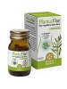 PLANTAFLOR 70 Tav.