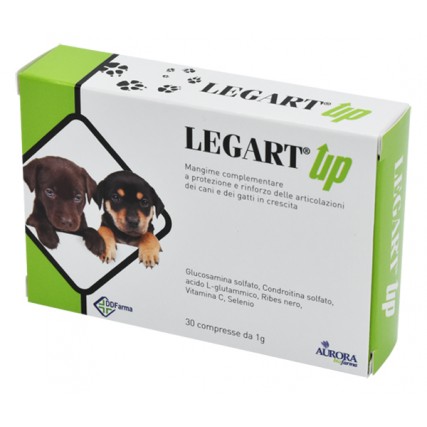 LEGART UP Vet.60 Cpr