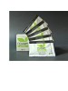 FIDAVIT Energy 10 Bust.