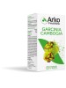 ARKOCAPSULE Garcinia 45 Cps