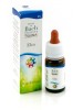 BACHFLOWERS 11 Elm 10ml