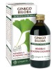 GINKGO BILOBA Estr.Int.200ml