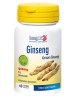 LONGLIFE GINSENG 5% 60 Cps