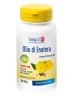 LONGLIFE OLIO ENOTERA 50 Perle