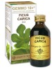 FICUS CARICA Gemmo 10+100ml