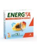 ENERGYA INVERNO 14 Bust.