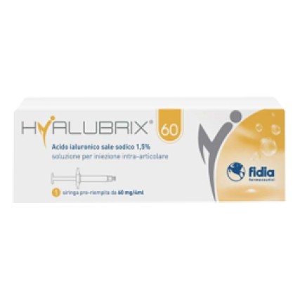 HYALUBRIX 1 Siringa 60mg/4ml